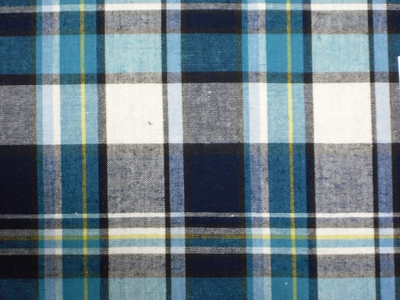 Madras check