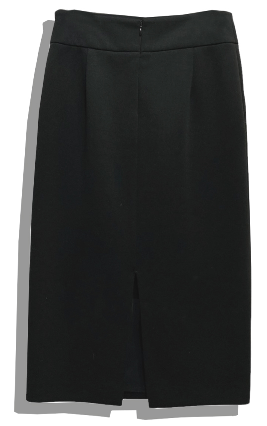 Pencil Skirt Back