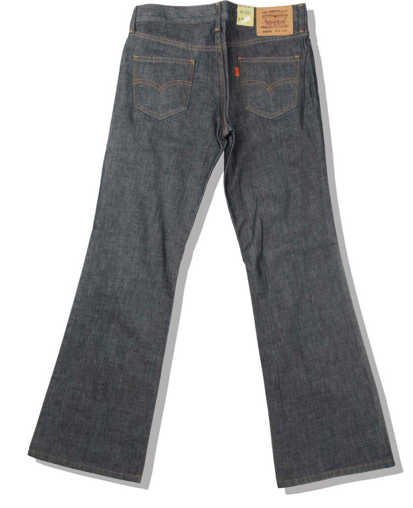 Bootscut Denim Pants Back