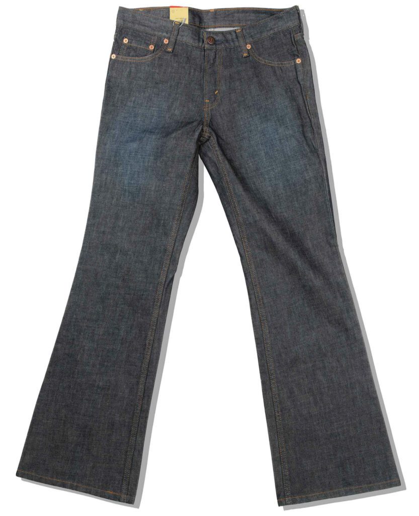 Bootscut Denim Pants Front