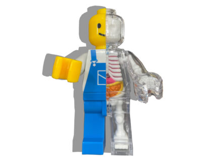 Jason Freeny Brick Man Anotomical