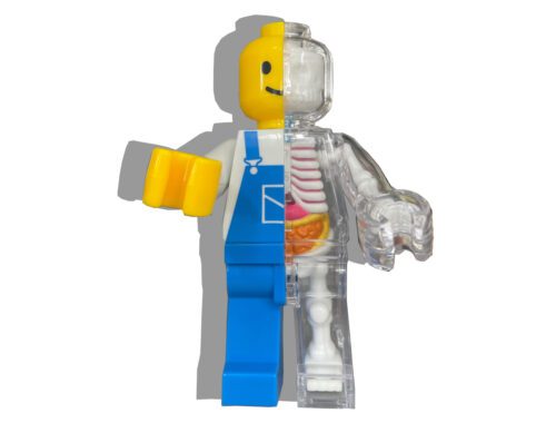 Jason Freeny Brick Man Anotomical