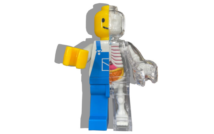 Jason Freeny Brick Man Anotomical