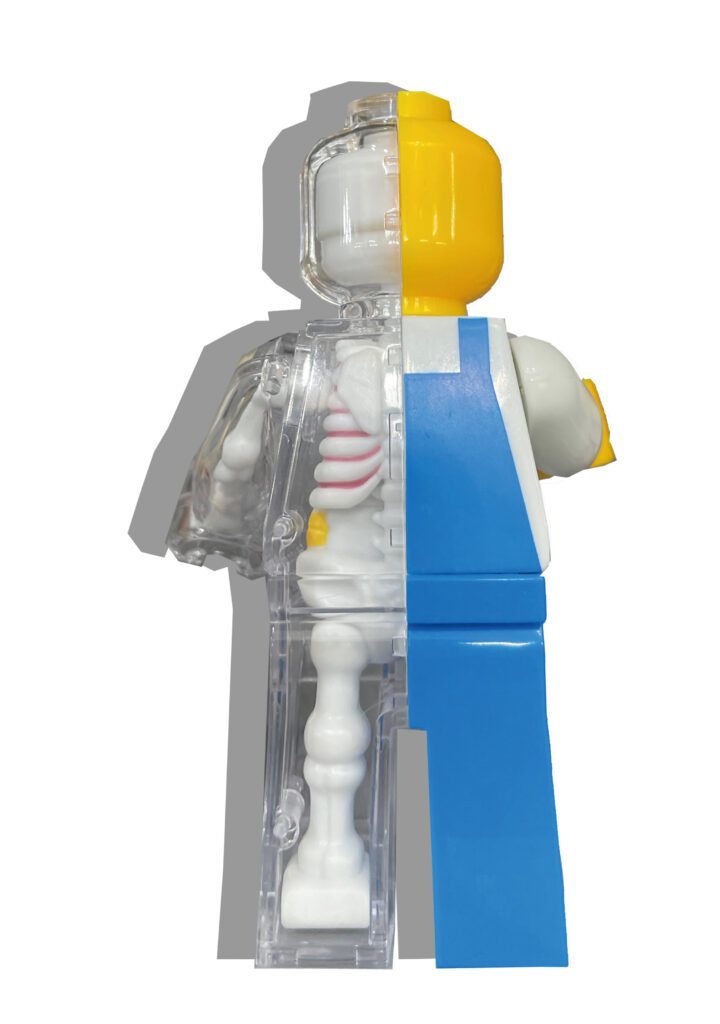 Jason Freeny Brick Man Anotomical Back