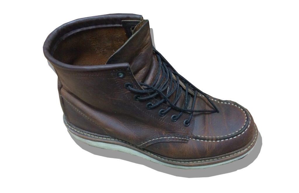 Redwing 1907