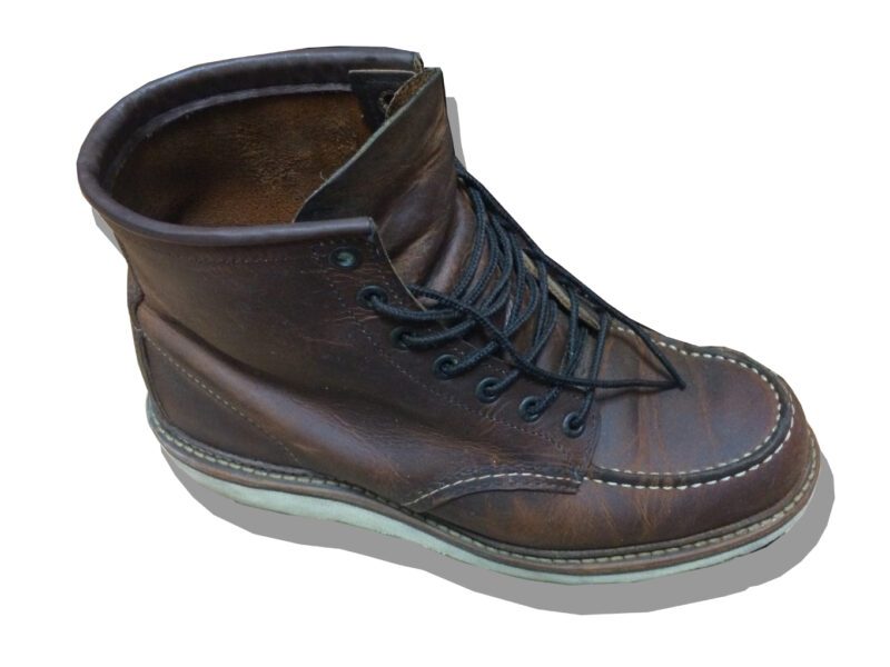 Redwing 1907