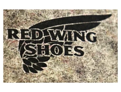 Redwing