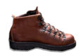 Danner Mountain Light Boots