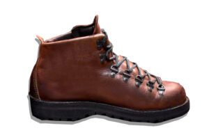 Danner Mountain Light Boots