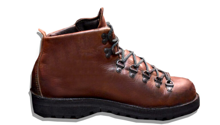 Danner Mountain Light Boots