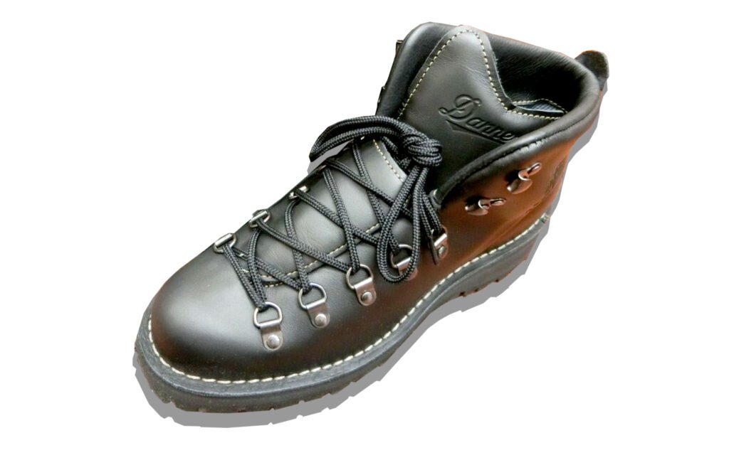 Danner Mountain Light ii