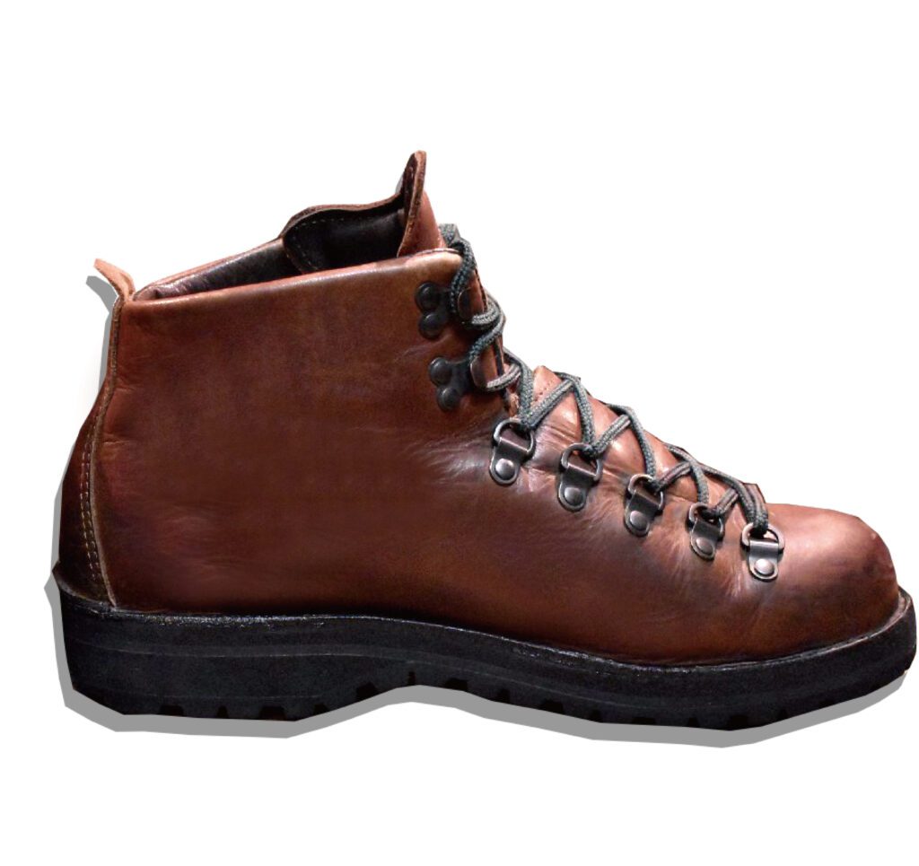 Danner Mountain Light Boots