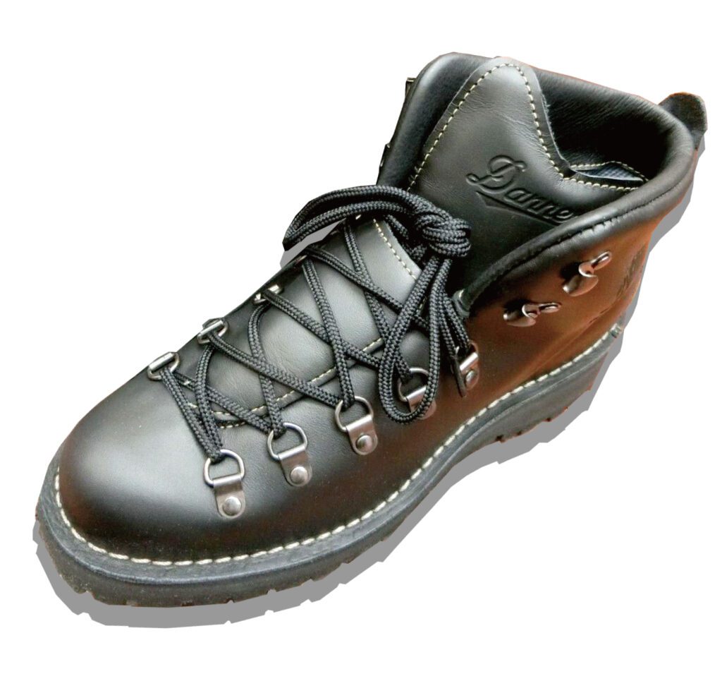 Danner Mountain Light ii