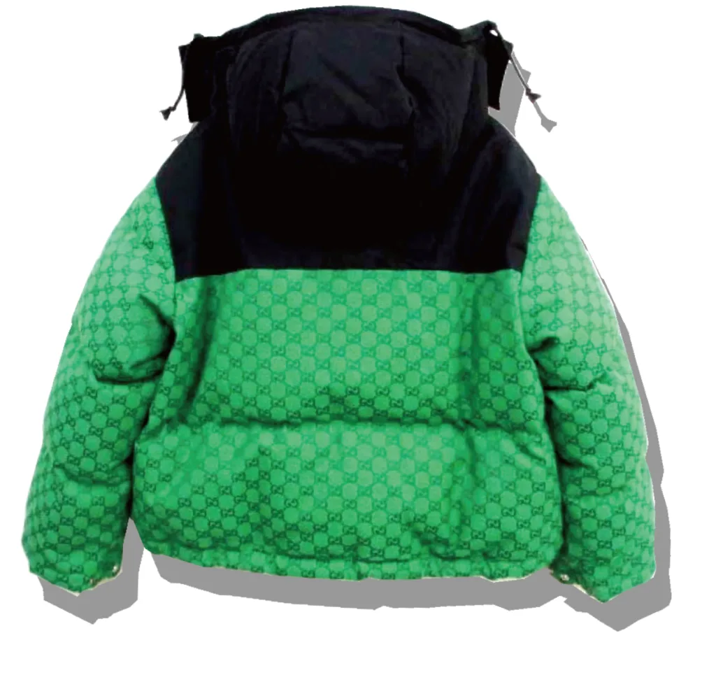 The Northface x Gucci Padded JAcket 2021AW Back
