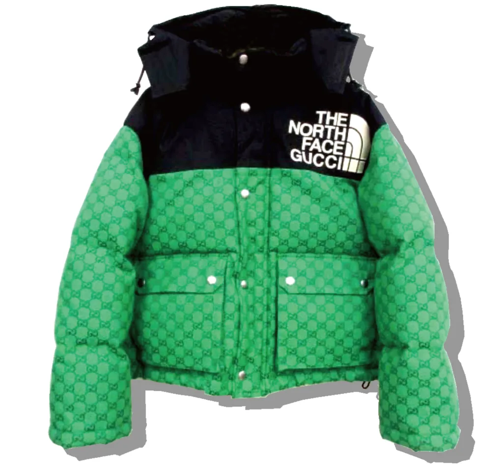 The Northface x Gucci Padded JAcket 2021AW Front