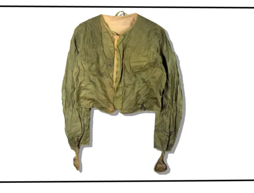 USAAF F-3 Electric Flight Jacket