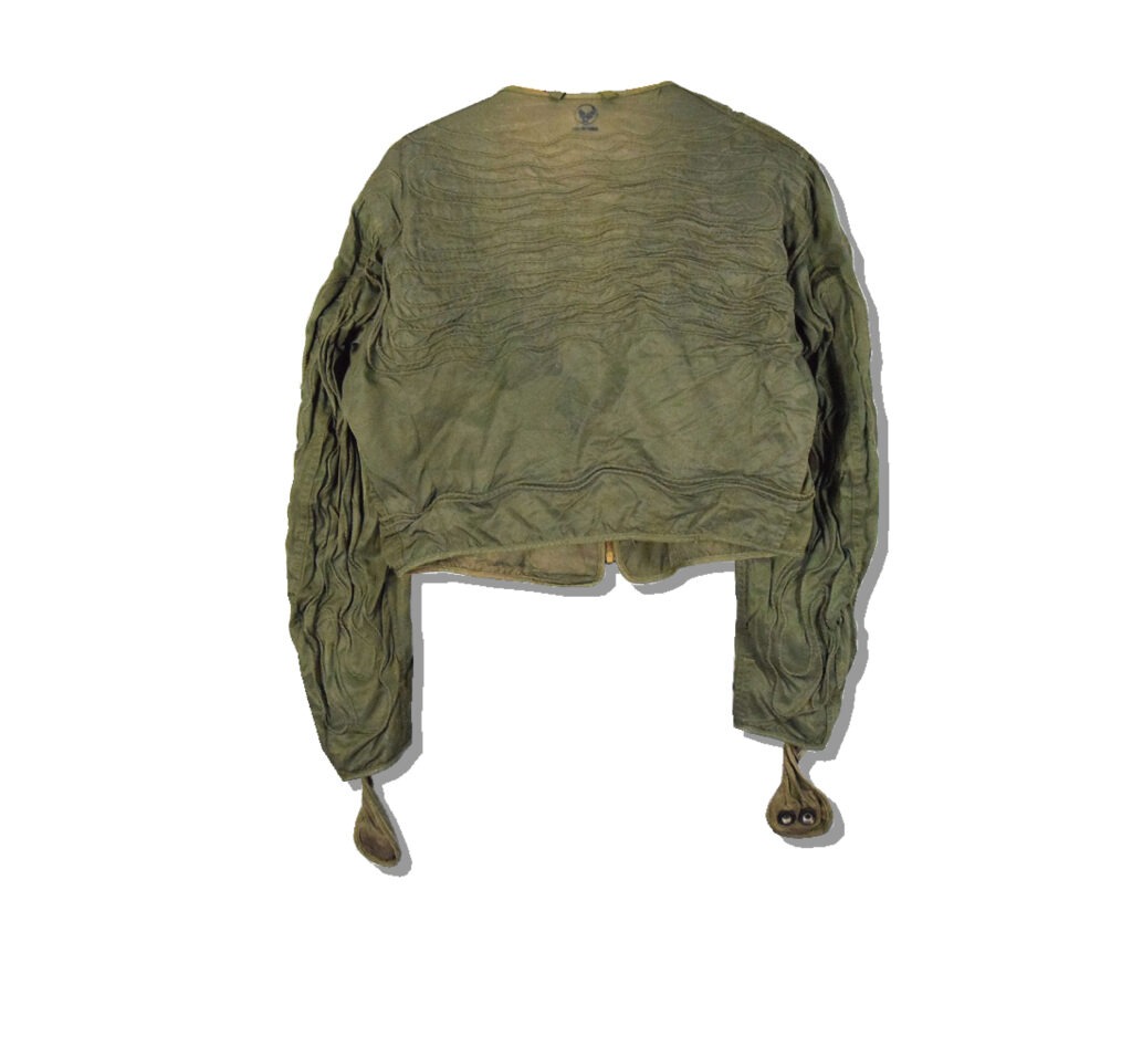 USAAF F-3 Electric Flight Jacket Back