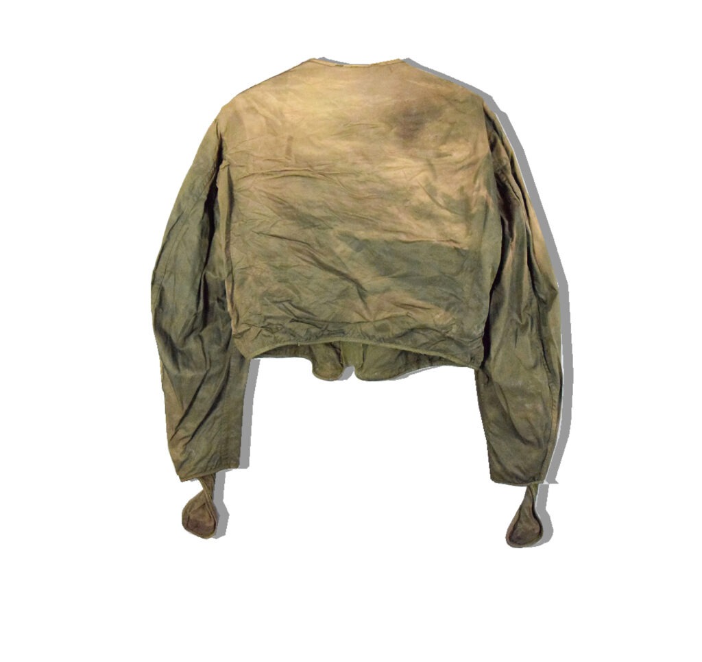 USAAF F-3 Electric Flight Jacket Back2