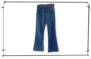 Levis 646 Denim Pants