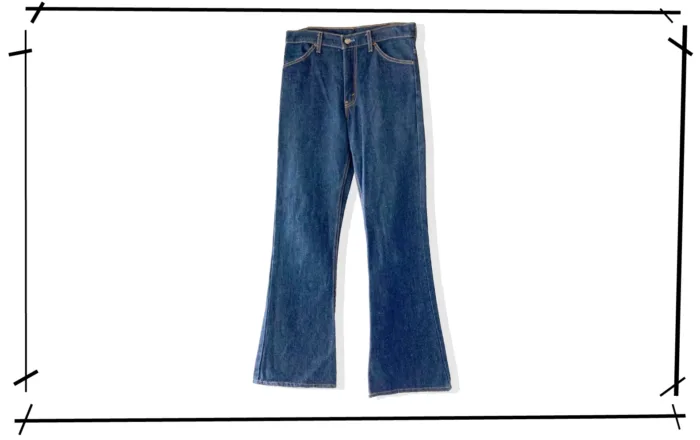 Levis 646 Denim Pants