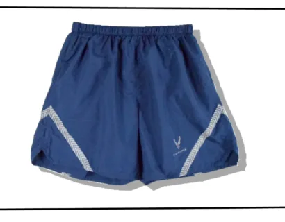 US Air Force iptu training short pants