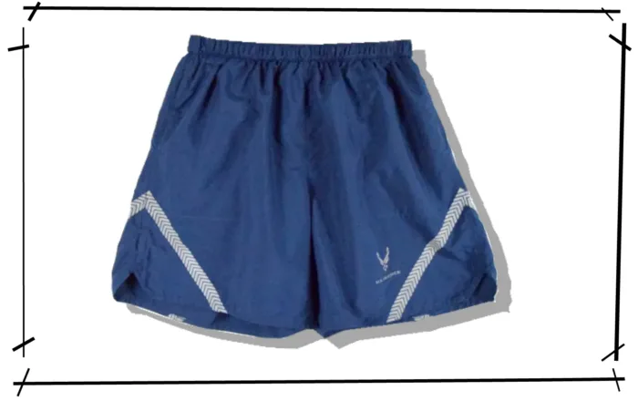 US Air Force iptu training short pants