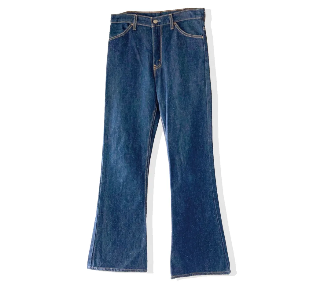 Levis 646 Denim Pants Front