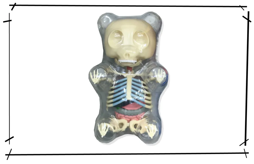 Jason Freeny Gummy Bear Anatomy
