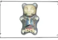 Jason Freeny Gummy Bear Anatomy