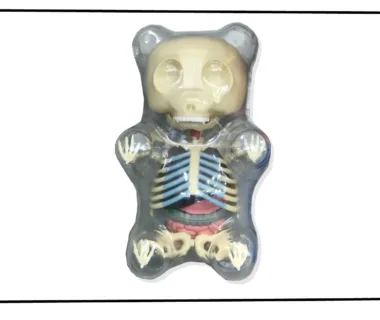 Jason Freeny Gummy Bear Anatomy