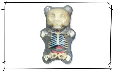 Jason Freeny Gummy Bear Anatomy