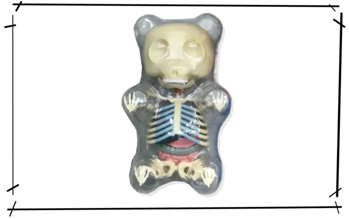 Jason Freeny Gummy Bear Anatomy