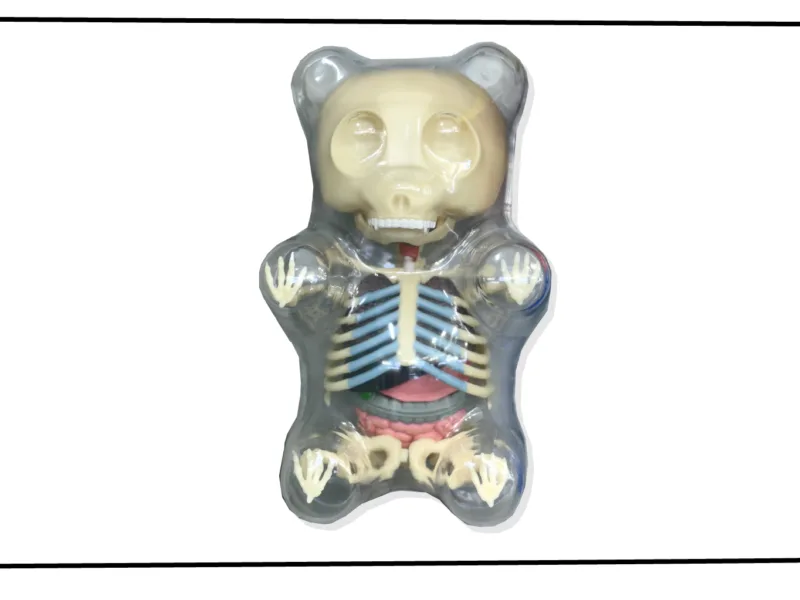 Jason Freeny Gummy Bear Anatomy