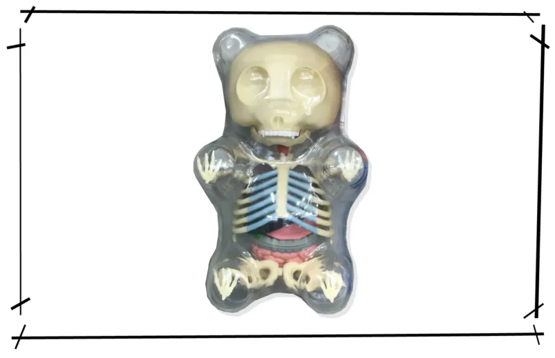 Jason Freeny Gummy Bear Anatomy