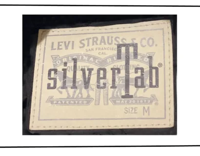 Levis Silvertab