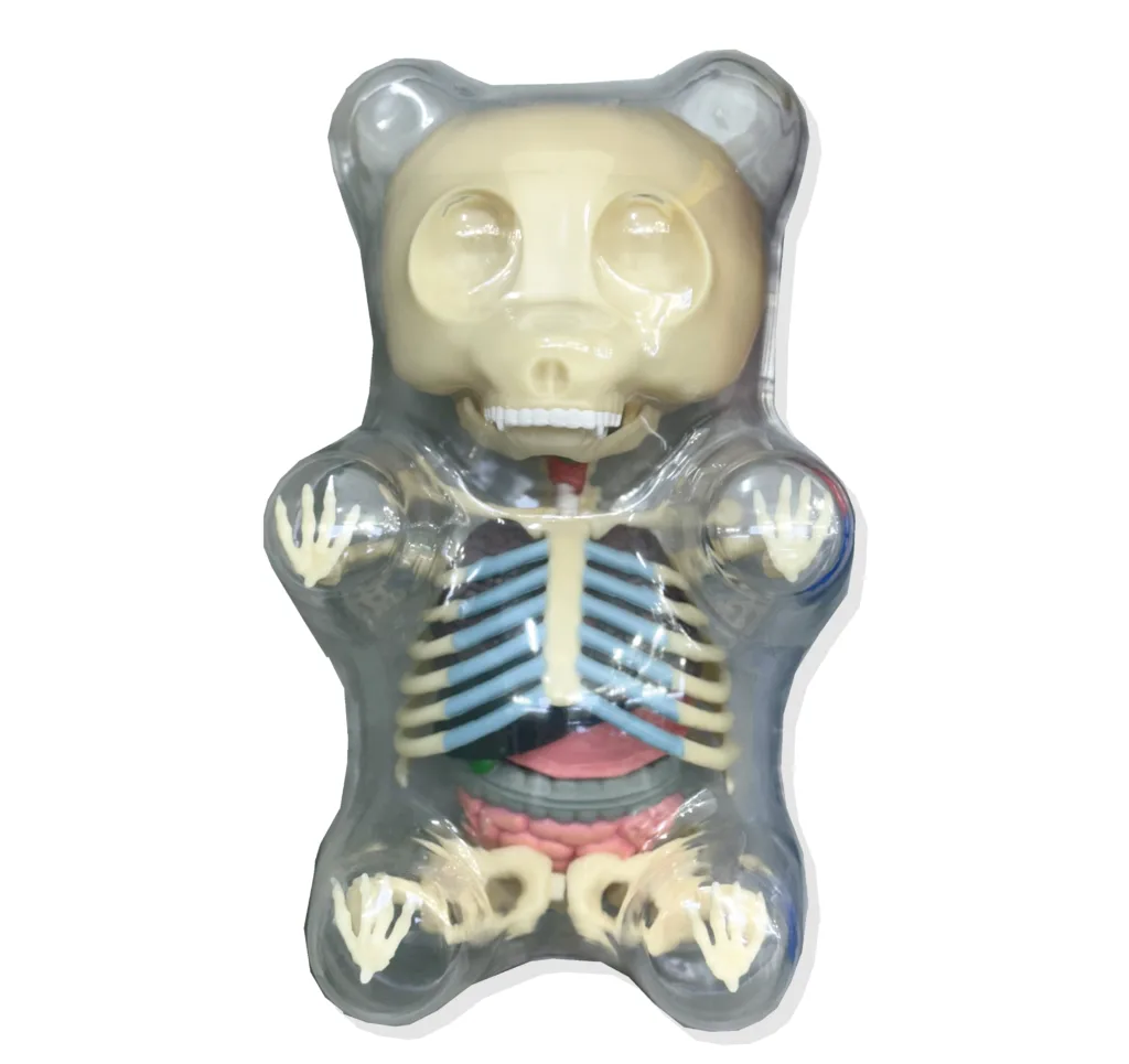 Jason Freeny Gummy Bear Anatomy Front