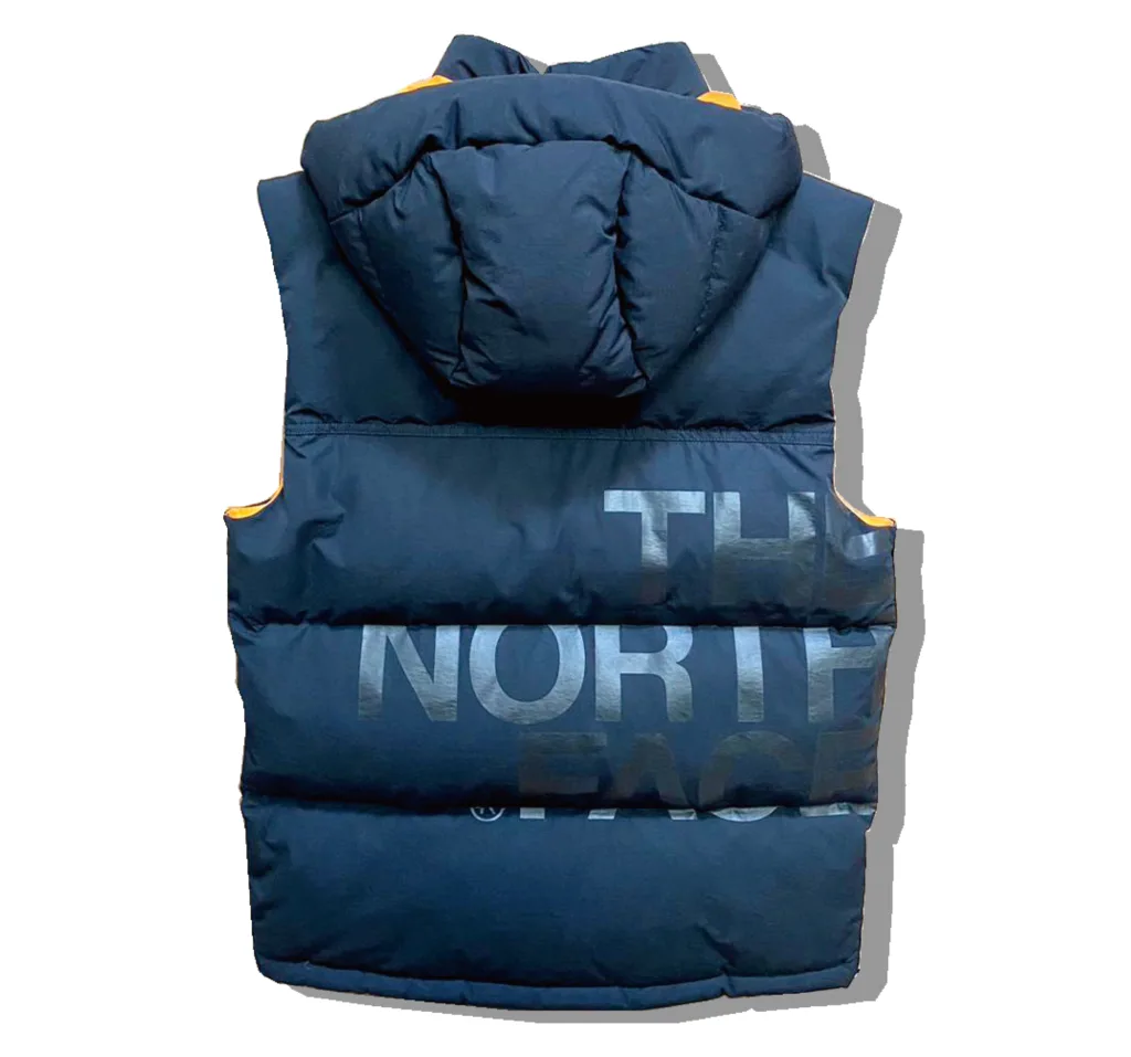 Junyawatanabe Man x The Northface vest Back