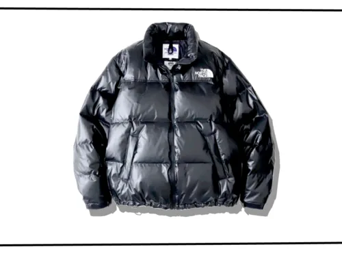 eYe JUNYA WATANABE MAN×THE NORTH FACE Nuptse Down Jacket 2024AW