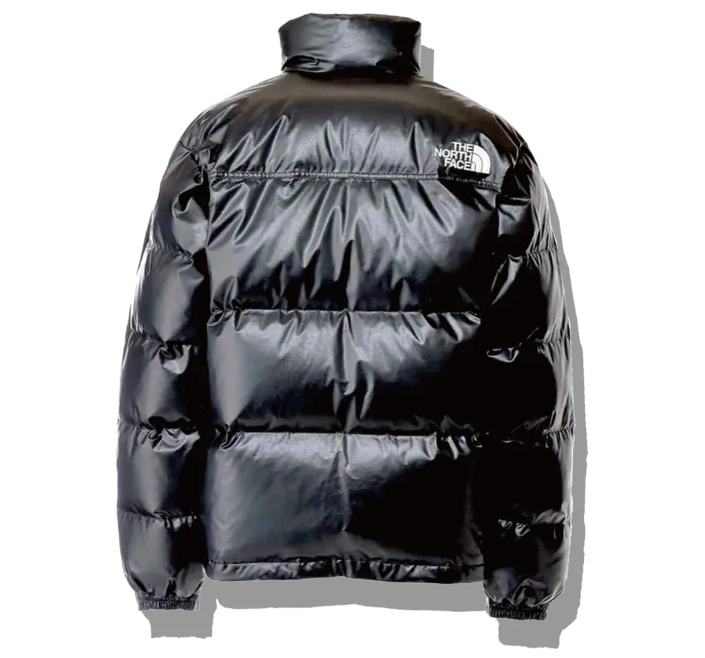 eYe JUNYA WATANABE MAN×THE NORTH FACE Nuptse Down Jacket 2024AW Back