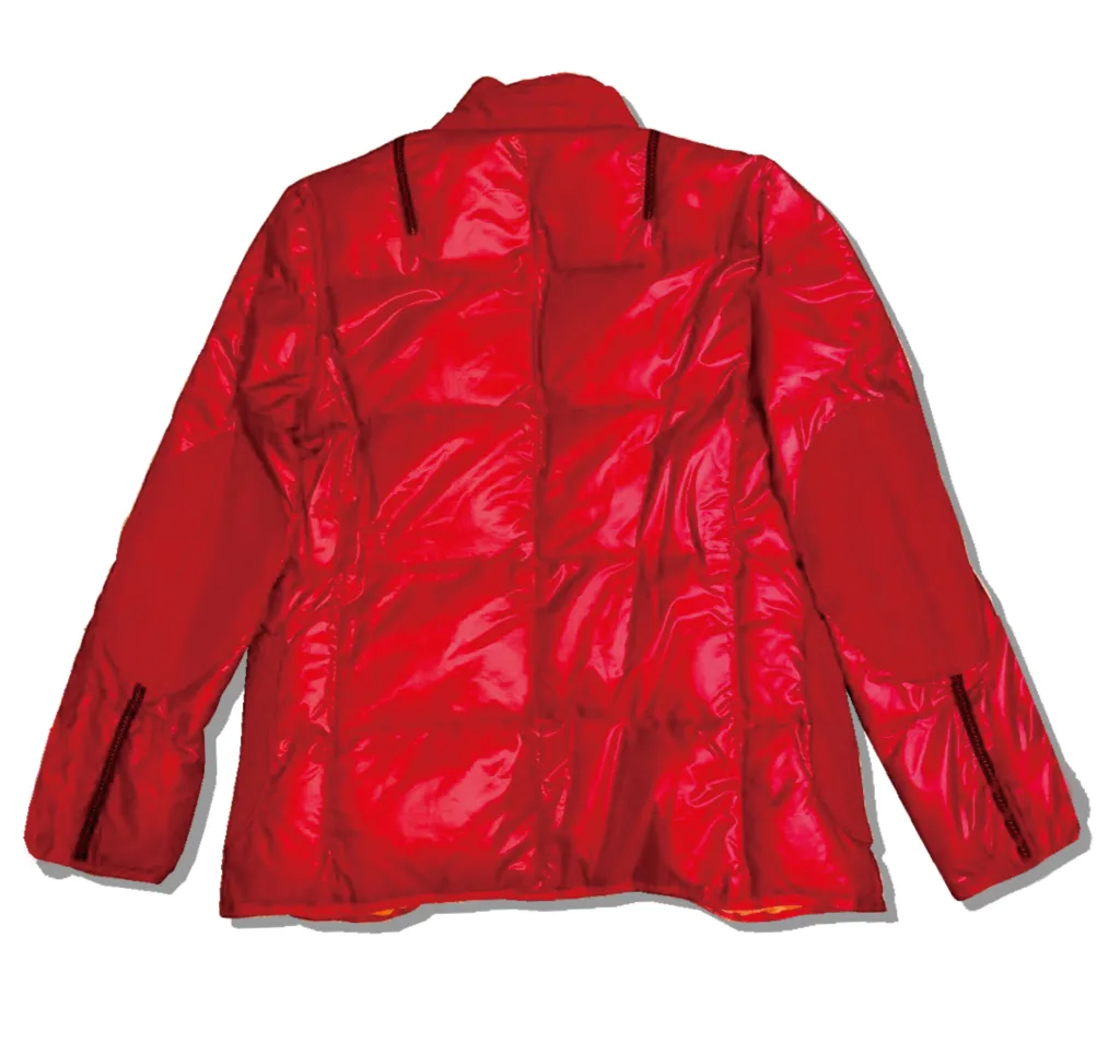 eYe Junywatatanabe Man x The Northface Nylon Tailored Jacket Back