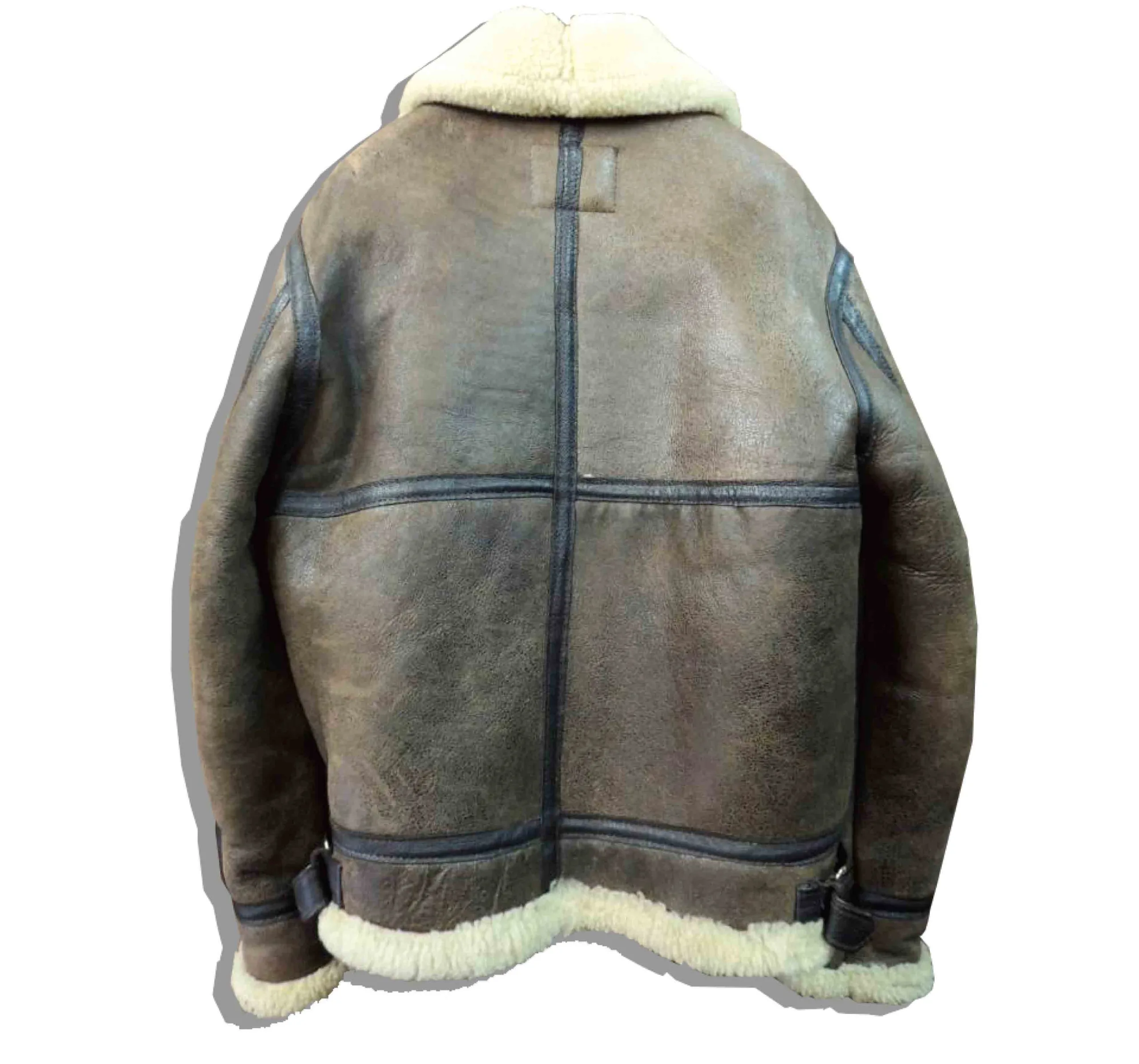 SChott B-3 Flight Jacket Back