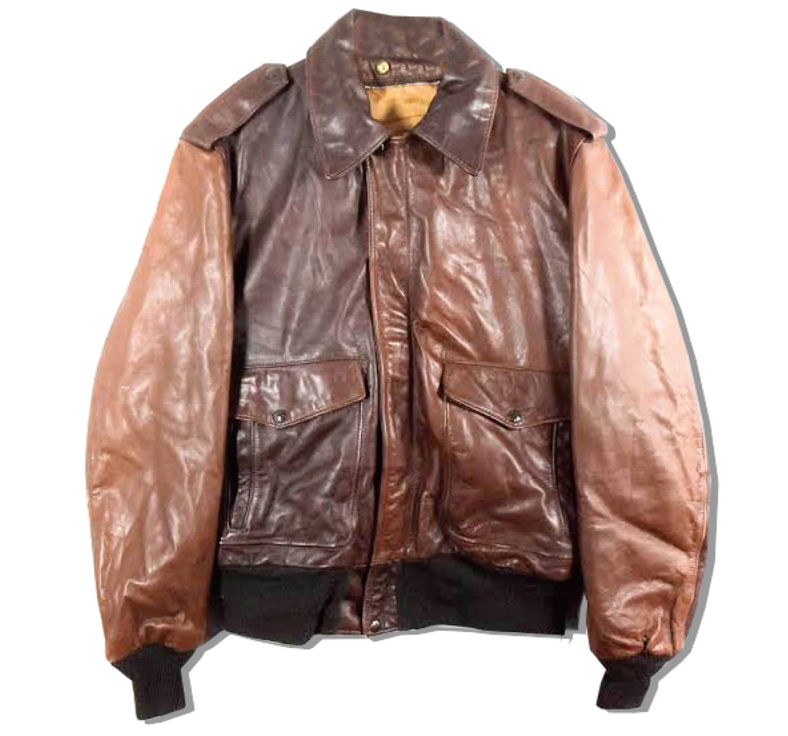 Schott A-2 Flight Jacket Front